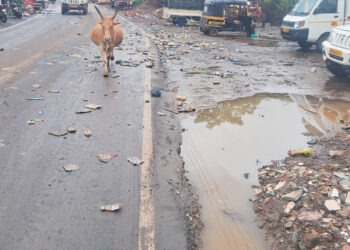 पहिल्याच पावसाने केली पोलखोल