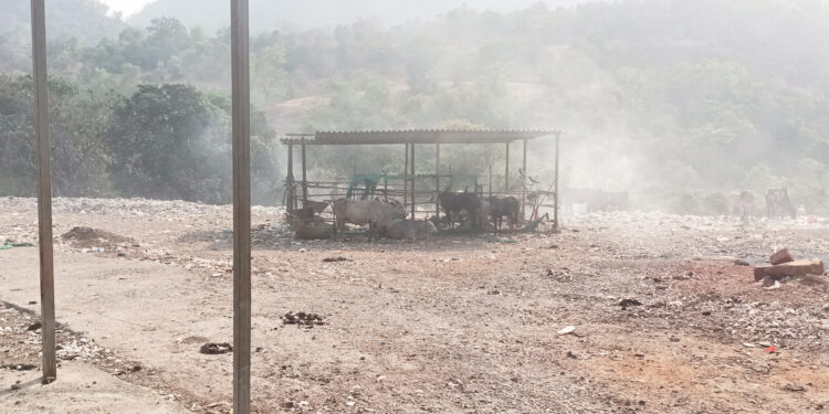 तळा शहरातील डम्पिंग ग्राऊंडचे स्थलांतर रखडले