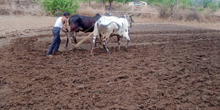 वरुण राज्याच्या भरवशावर शेतकर्यांची पेरणीला सुरुवात