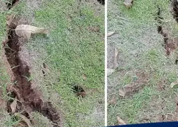 पोलादपूर तालुक्यात एका गावात जमिनीला मोठी भेग