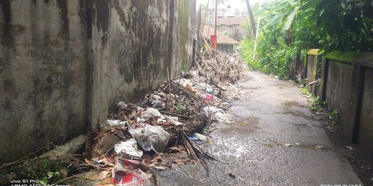 नालेसफाई की हातसफाई?