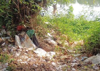 उल्हास नदीच्या तीरावर जैवकचरा