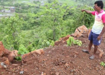 सुरईला दरडीचा वाढता धोका