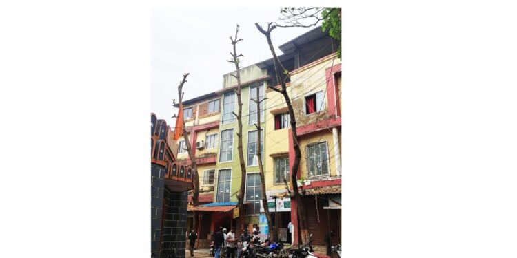 महावितरणचा भोंगळ कारभार