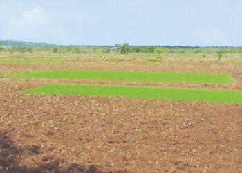 नावाला पावसाळा झळा मात्र उन्हाळ्याच्या!