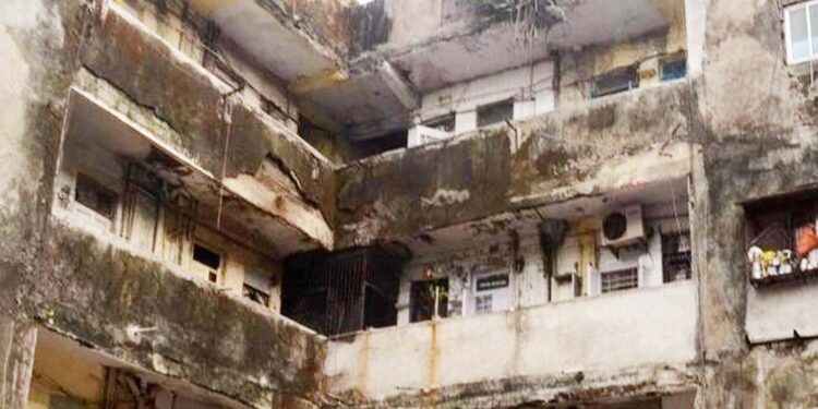 उल्हास नदीच्या तीरावर जैवकचरा