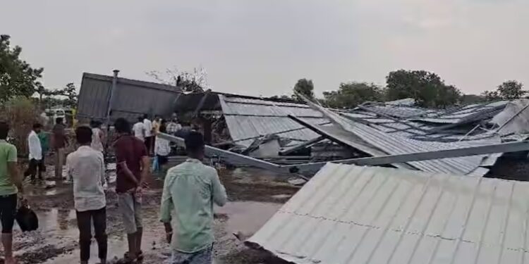 नाशिकमध्ये वादळी वाऱ्यासह जोरदार पाऊस