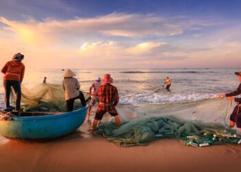 मासेमारीची उलाढाल 200 कोटींवर