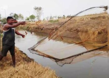 खाडीतील मासेमारीवर असणार मदार