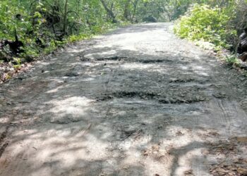 गारंबी-नागशेत रस्त्याची दुरवस्था