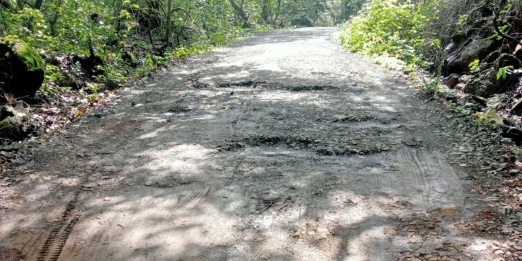 गारंबी-नागशेत रस्त्याची दुरवस्था