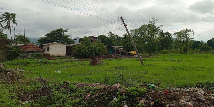 महावितरण कंपनीचे दुर्लक्ष