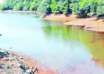 माथेरान शारलोट तलाव गाळमुक्तीच्या प्रतिक्षेत