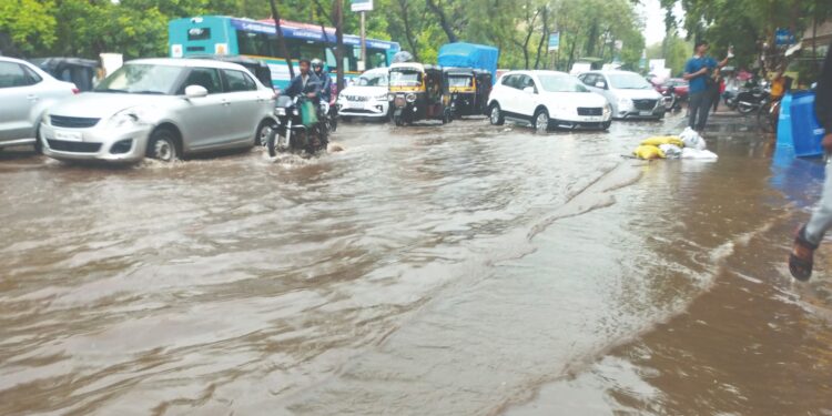 कळंबोली वसाहतीत पाणीच पाणी