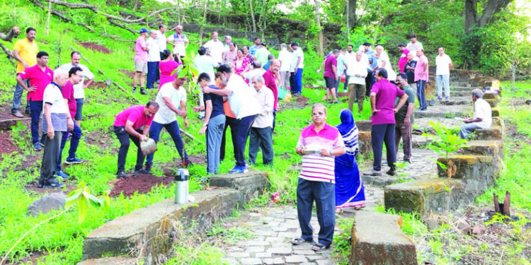 तहसिल टेकडीवरील वृक्षारोपणात नागरिकांचा सहभाग