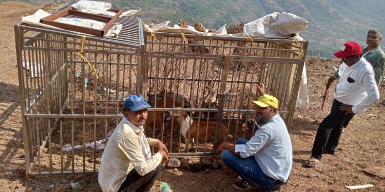 राष्ट्रपतींच्या रायगड भेटीनंतर प्राणी बंदिस्त करण्याची प्रथा