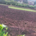 मुरूड तालुक्यात भात पेरणीला वेग