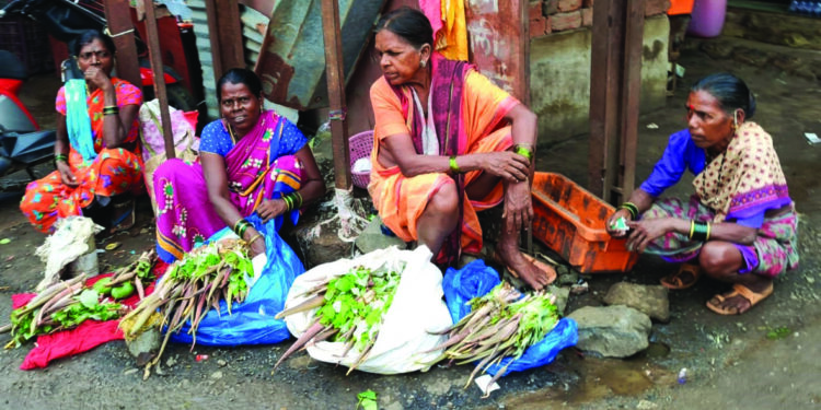 आरोग्यवर्धक शेवळं बाजारात दाखल