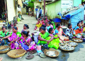 गोडया पाण्यातील माशांची मेजवानी