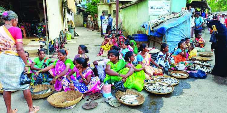 गोडया पाण्यातील माशांची मेजवानी