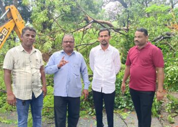पाली – खोपोली राज्यमार्गावर जांभुळपाडा येथे झाड कोसळले