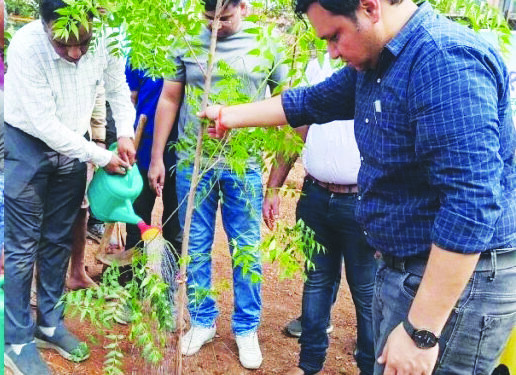 पनवेल महापालिकेचा जागतिक पर्यावरण दिन