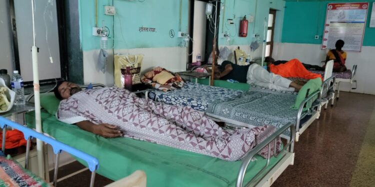 अंत्यसंस्कारावेळी मधमाशांचा हल्ला