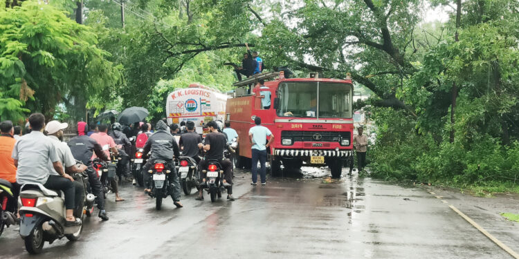 रोह्यात पावसाची दमदार हजेरी
