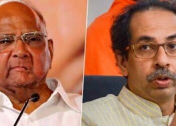 विधानसभाही एकजुटीने लढणार