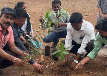 वृक्ष लागवड, संवर्धन मोहीम