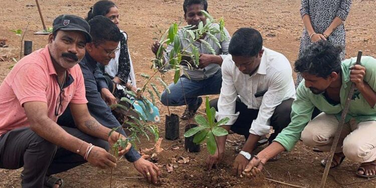 वृक्ष लागवड, संवर्धन मोहीम