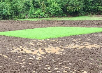 तळा तालुक्याला पावसाने झोडपले