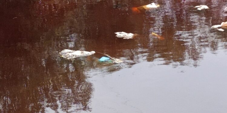 कासाडी नदीच्या प्रदूषणात वाढ