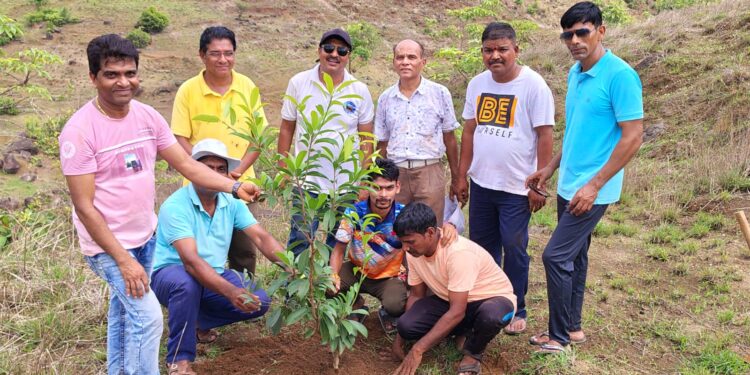 ऑक्सिजन पार्कमध्ये वृक्षारोपण