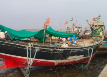 बोटी समुद्रकिनार्‍यावर शाकारल्या