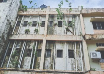 रुग्णालयाच्या इमारतीला झुडपांचा विळखा