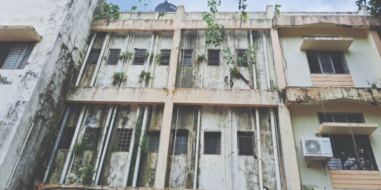 रुग्णालयाच्या इमारतीला झुडपांचा विळखा