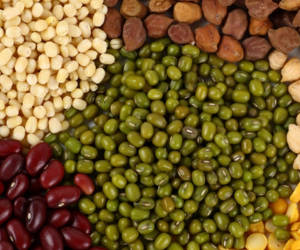 कृषी दिनानिमित्त बियाणांचे वाटप