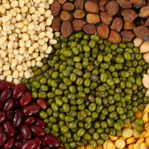 कृषी दिनानिमित्त बियाणांचे वाटप