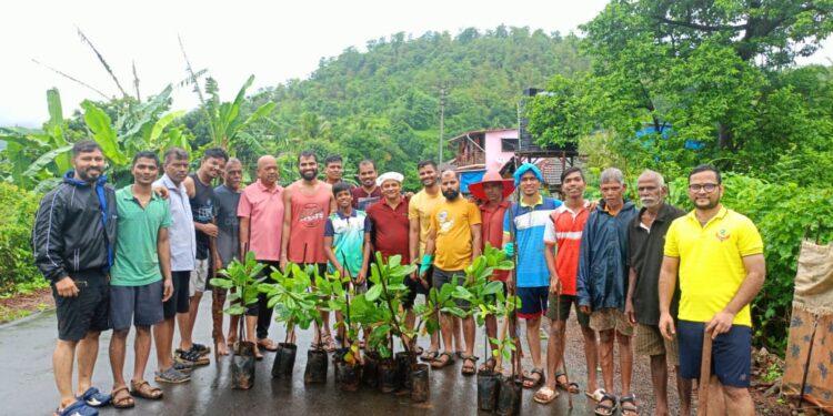 आमशेत येथे वृक्षारोपण