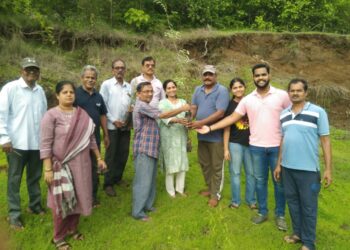 चौल-पाझर येथे वृक्षारोपण