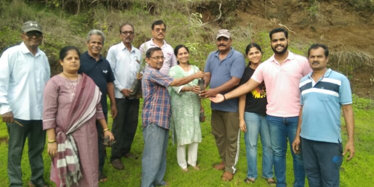 चौल-पाझर येथे वृक्षारोपण