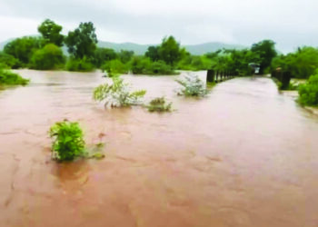 कर्जत तालुक्यात पावसाचा जोर