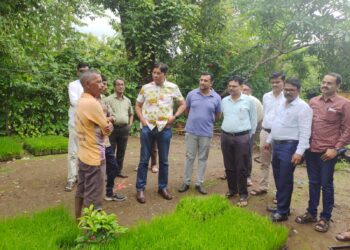 ‘एक दिवस शेतकरी वर्गासाठी’ या संकल्पनेतून भातपिकाची पाहणी