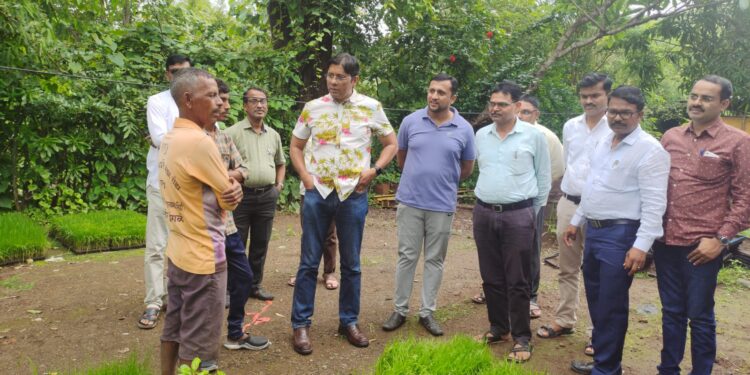 ‘एक दिवस शेतकरी वर्गासाठी’ या संकल्पनेतून भातपिकाची पाहणी