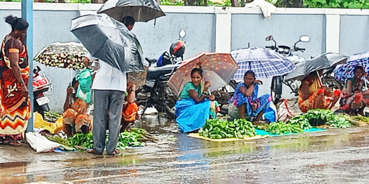 कोलाडमध्ये रानभाज्यांची आवक वाढली