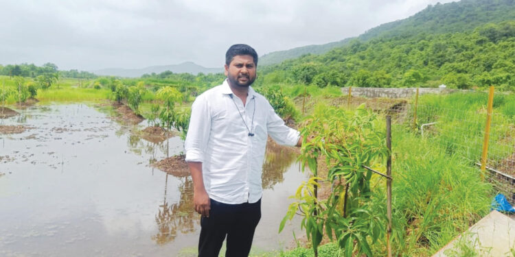 फळबाग लागवड योजना शेतकर्यांसाठी संजीवनी