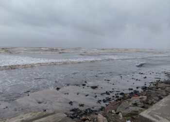 समुद्र किनार्‍यांवर शुकशुकाट