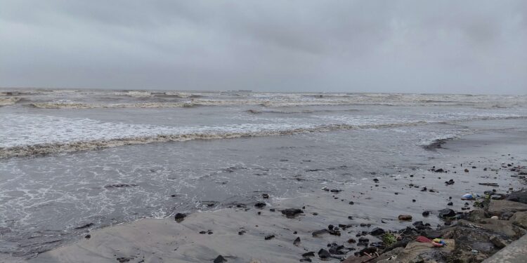 समुद्र किनार्‍यांवर शुकशुकाट