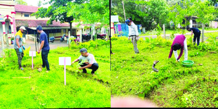 ग्रामीण रुग्णालयात स्वच्छता अभियान